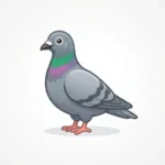 Pigeon Emoji