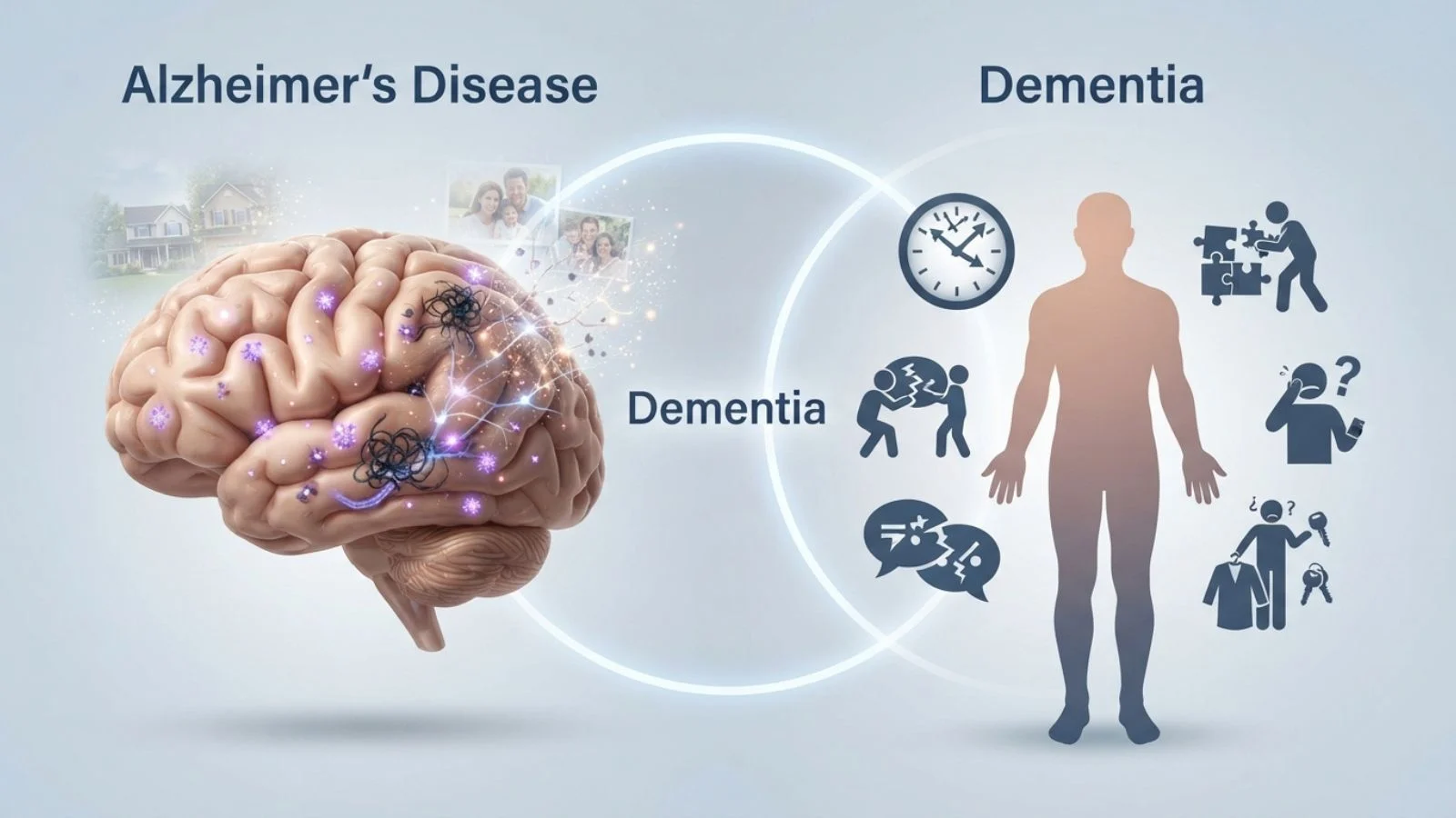 Alzheimer's vs. Dementia