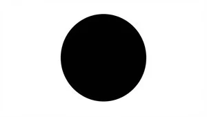 Black Circle Emoji